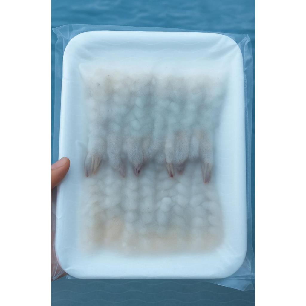 

VN Nobashi Eby Shrimp Size 31.40 isi 20