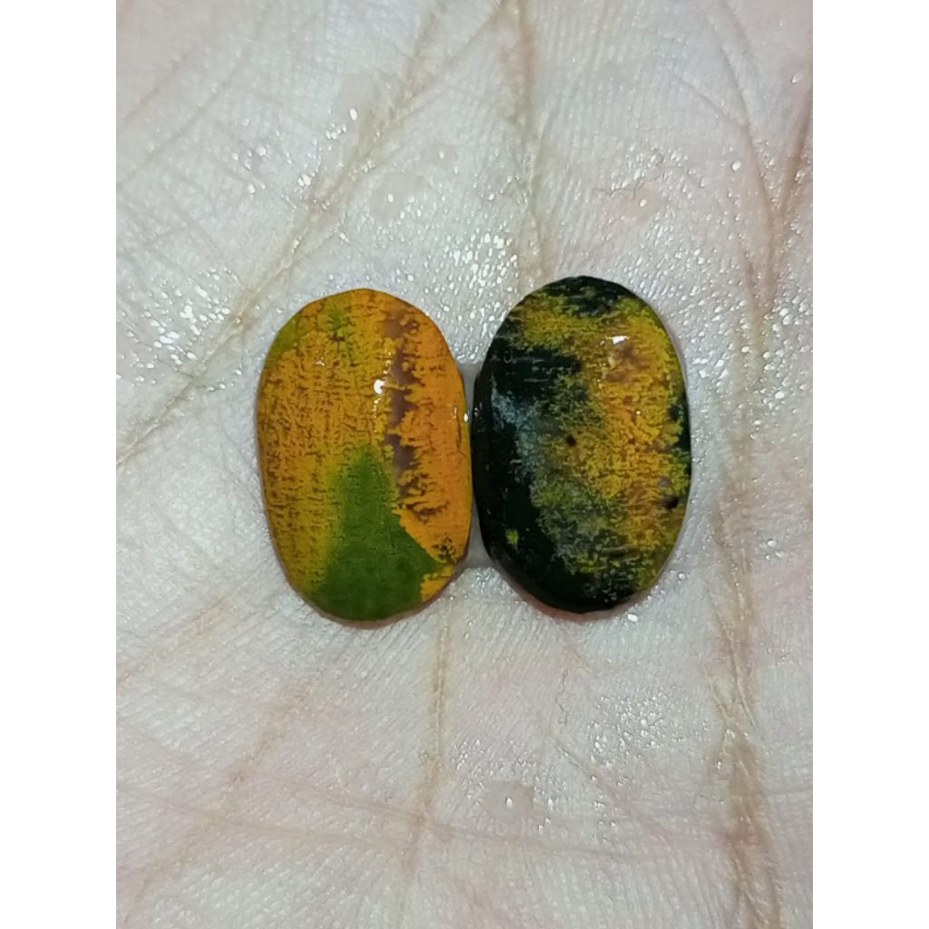 Natural Batu Pancawarna Garut Darson Polkas