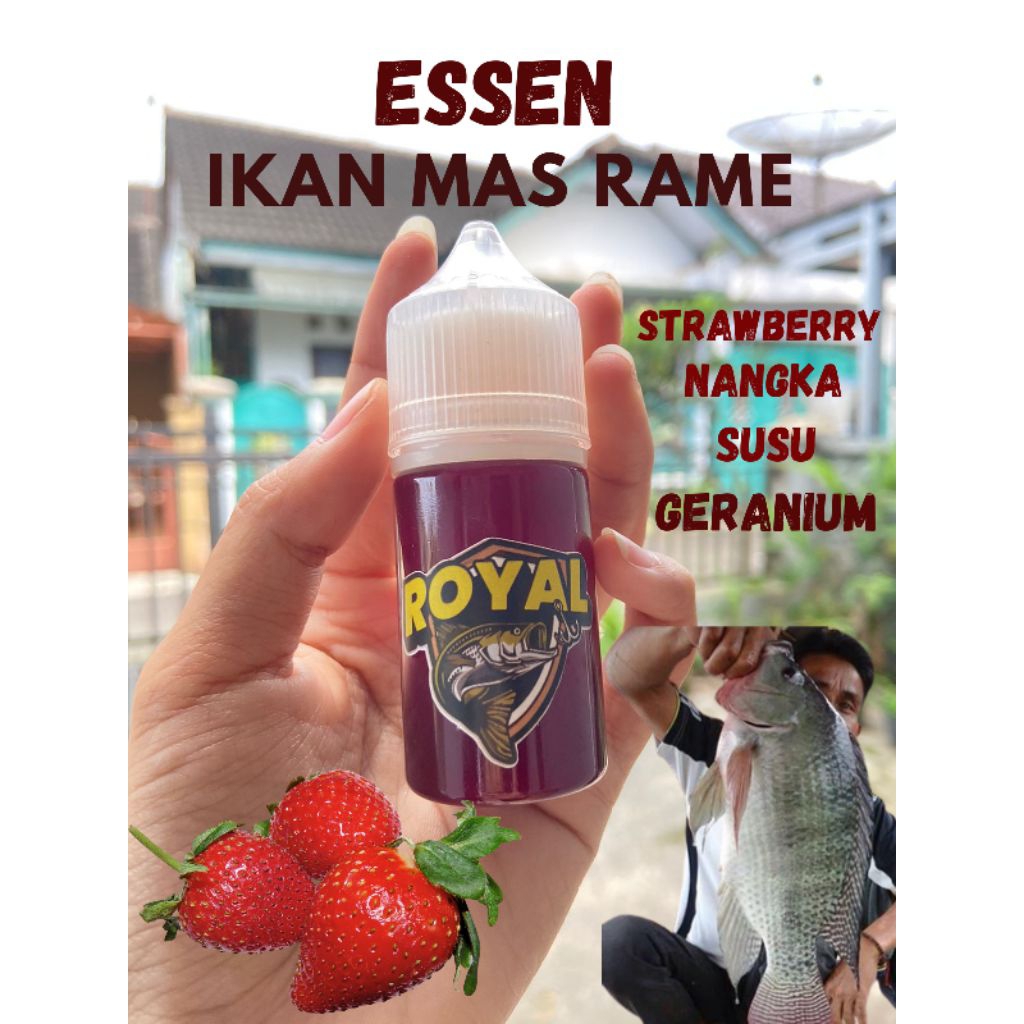 ESSEN IKAN MAS RAME DAN INDUK AROMA STRAWBERRY NANGKA SUSU GERANIUM