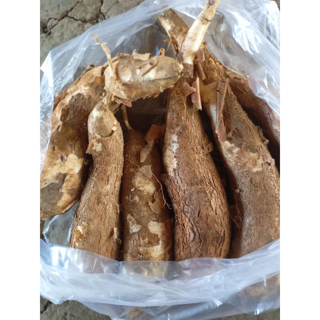 

Bahan Singkong mentah segar kilo gram