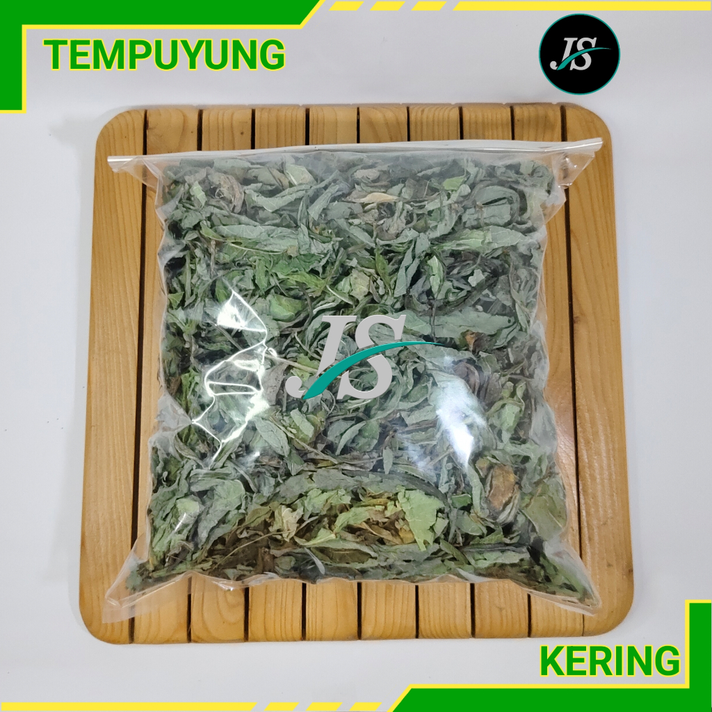 

Daun Tempuyung Kering 500gram Murni Daun / Tempuyung Kering Herbal Organik