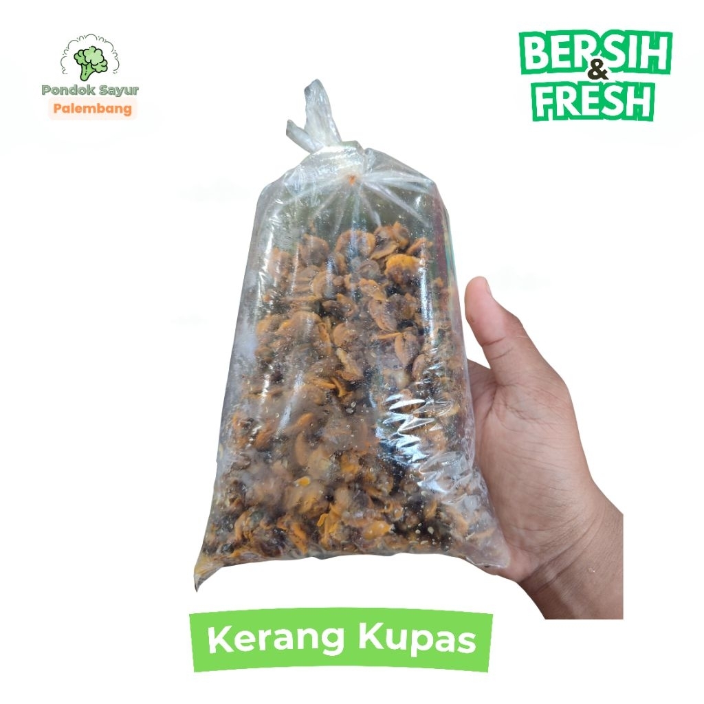 

KERANG KUPAS BERSIH PONDOK SAYUR PALEMBANG