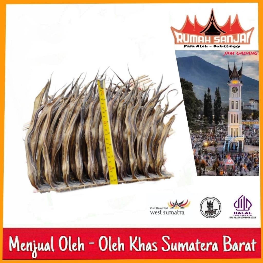 

Belut Kering 10 Ekor Ukuran Besar Oleh Oleh Khas Bukittinggi