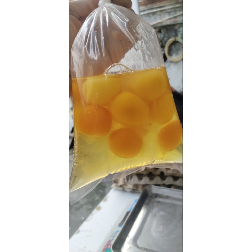 

TELUR PECAHAN 1 PLASTIK 10 BUTIR (INSTAN)