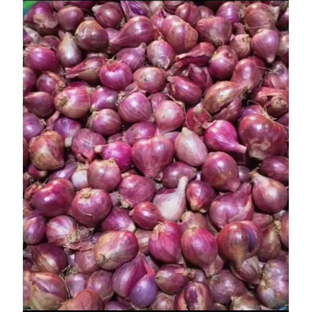 

Bawang Merah Kualitas Garut