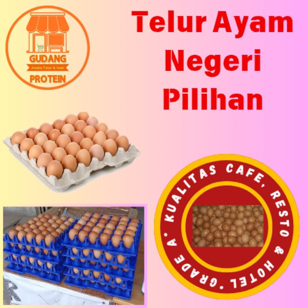 

TELUR AYAM NEGRI Grade A / Pilihan MURAH PER KG