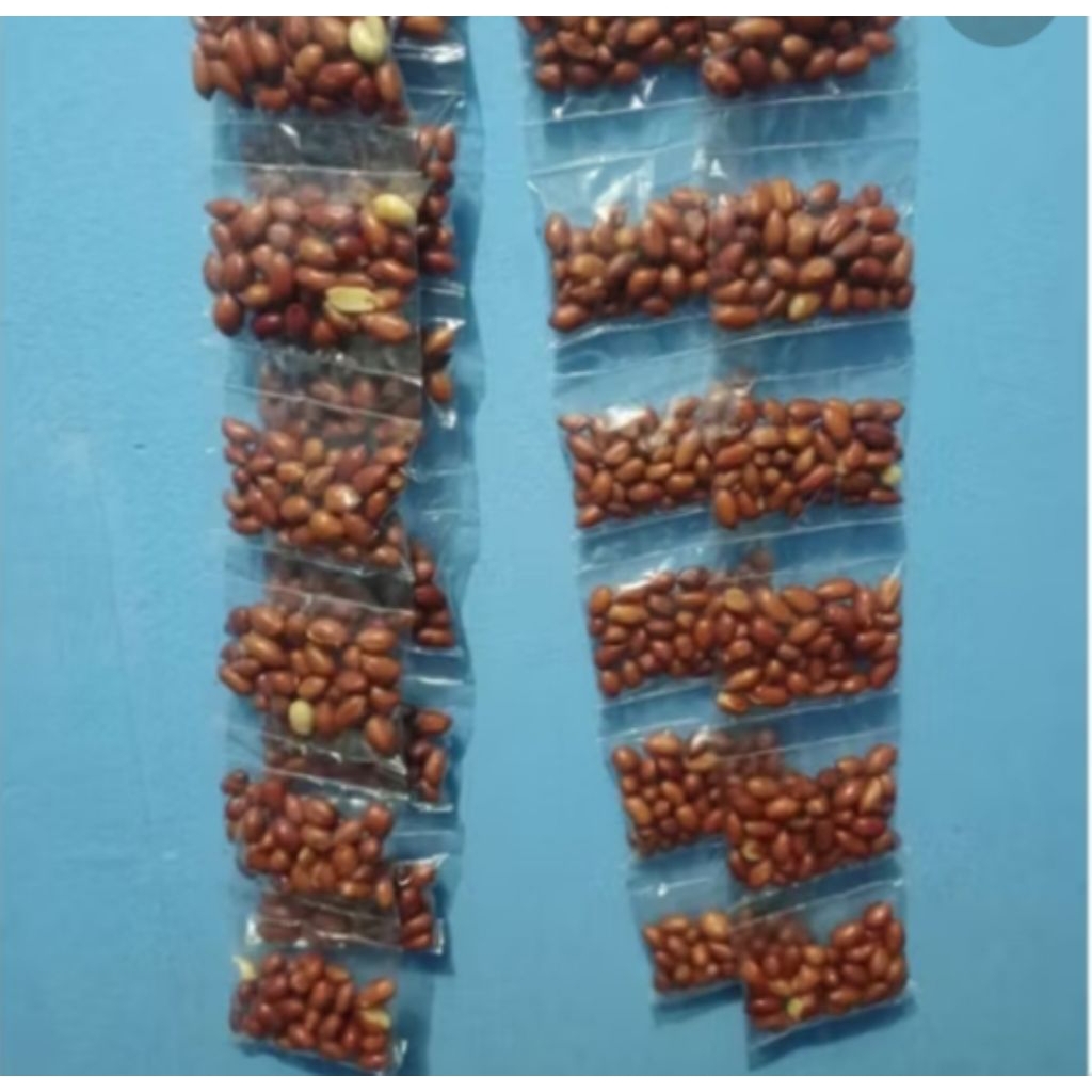 

bumbu rentengan kacang goreng bumbu masak10pcs