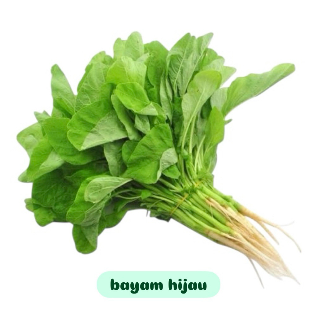 

Bayam hijau fresh per ikat