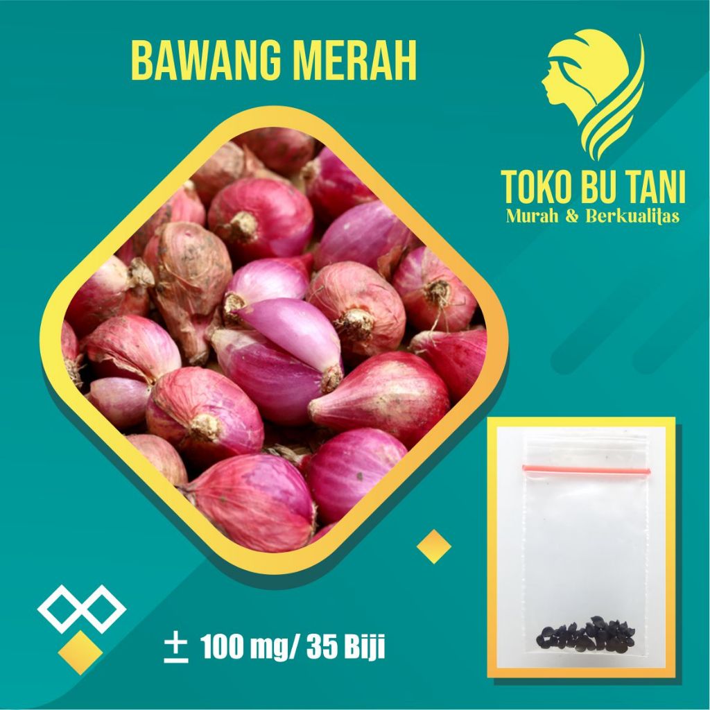 BTN Benih Bawang Merah Bibit Bawang Merah - Bibit Tanaman Sayur Sayuran