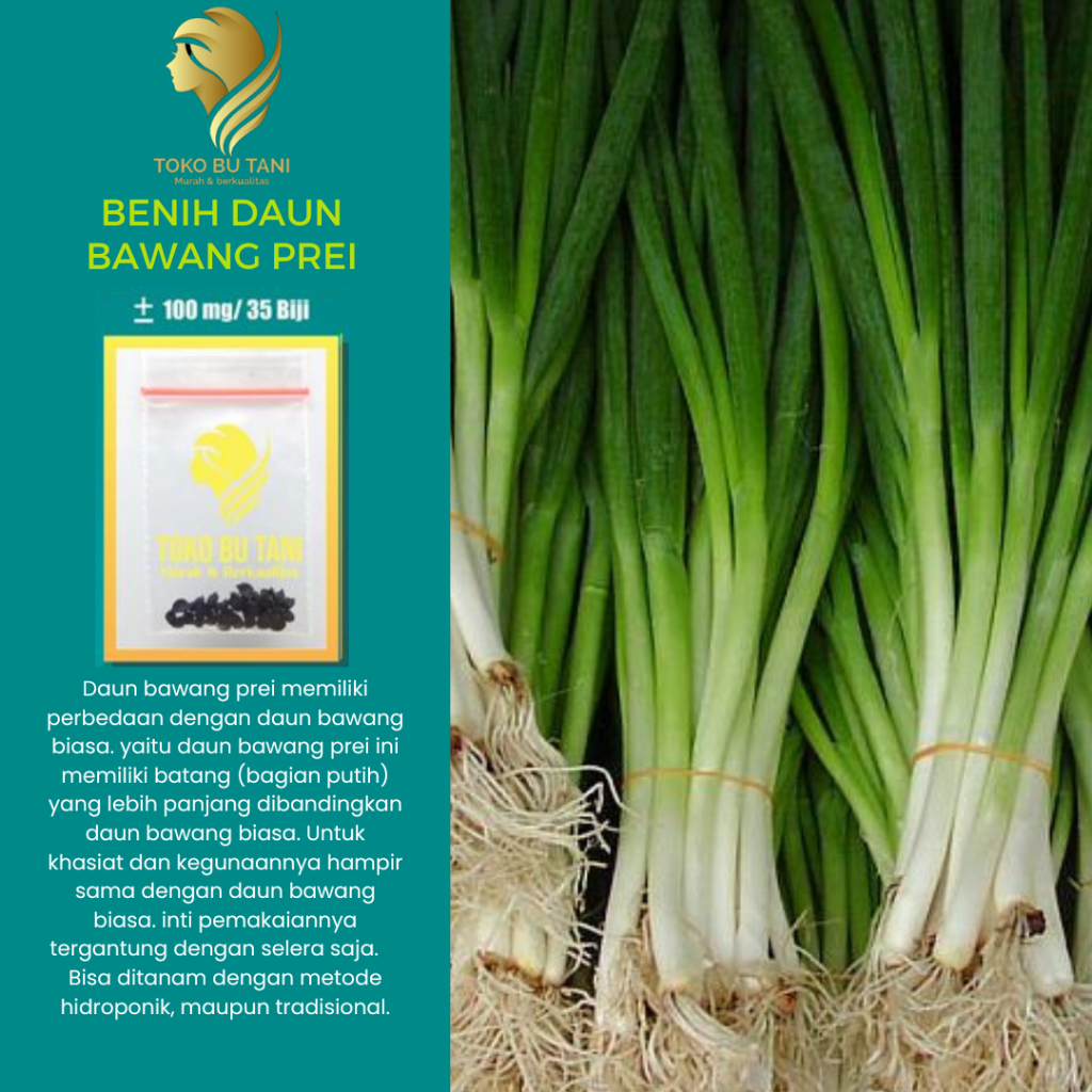 BTN Bibit Bawang Prei Benih Daun Bawang Prei Benih Bibit Sayuran