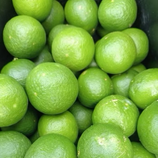 

1 Kg Jeruk Nipis Segar.