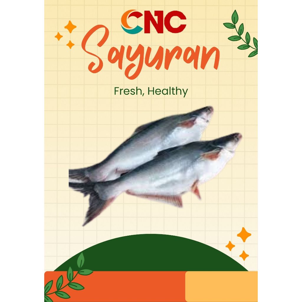 

KHUSUS INSTANT IKAN PATIN FRESH 500 GR