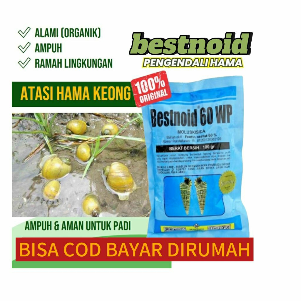 BESTNOID RACUN KEONG Bestnoid 60WP 100gram - MOLUSKISIDA RACUN KEONG