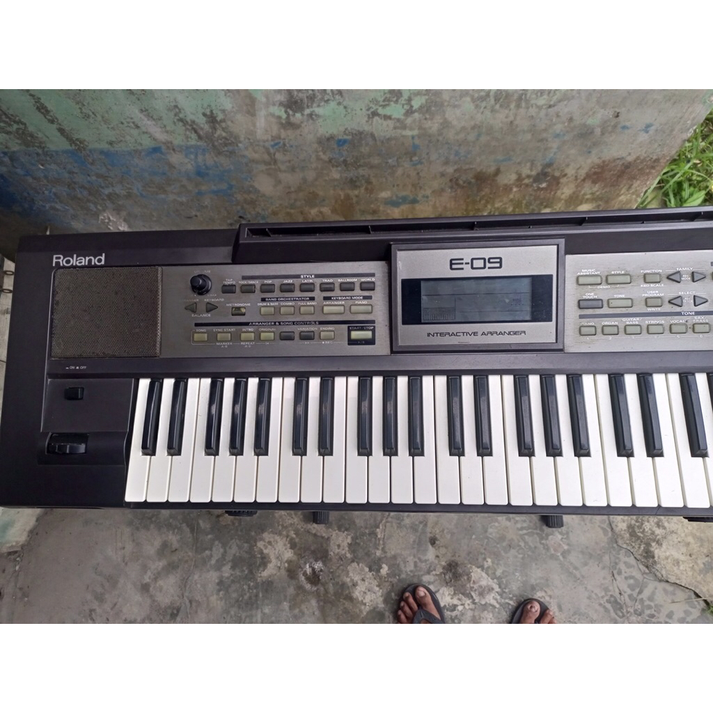 ROLAND E09 minus layar