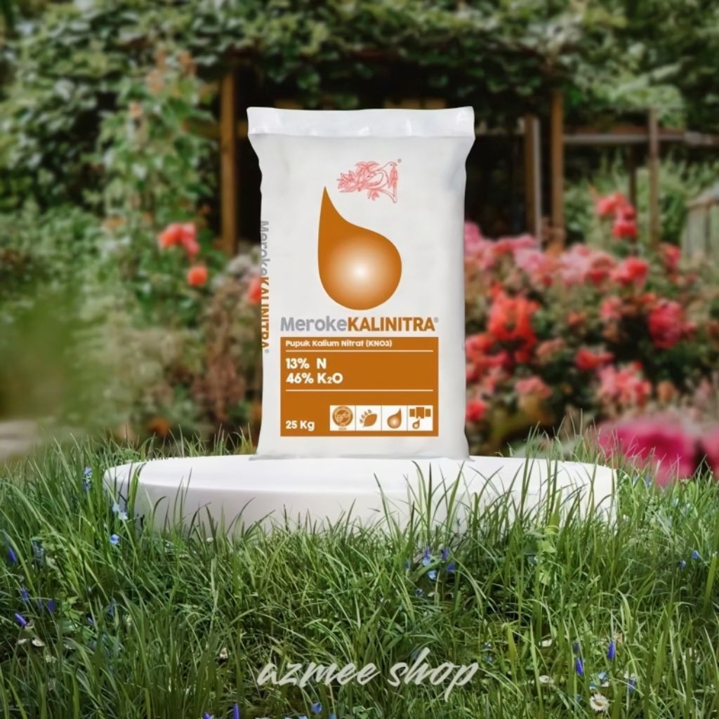 MEROKE KALINITRA BISA CARGO