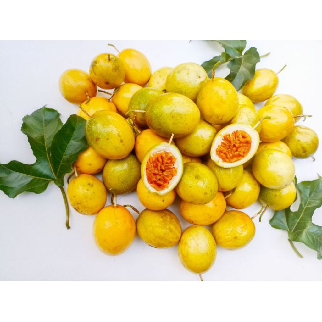 

Buah Markisa Hutan Asam Manis 1kg Segar