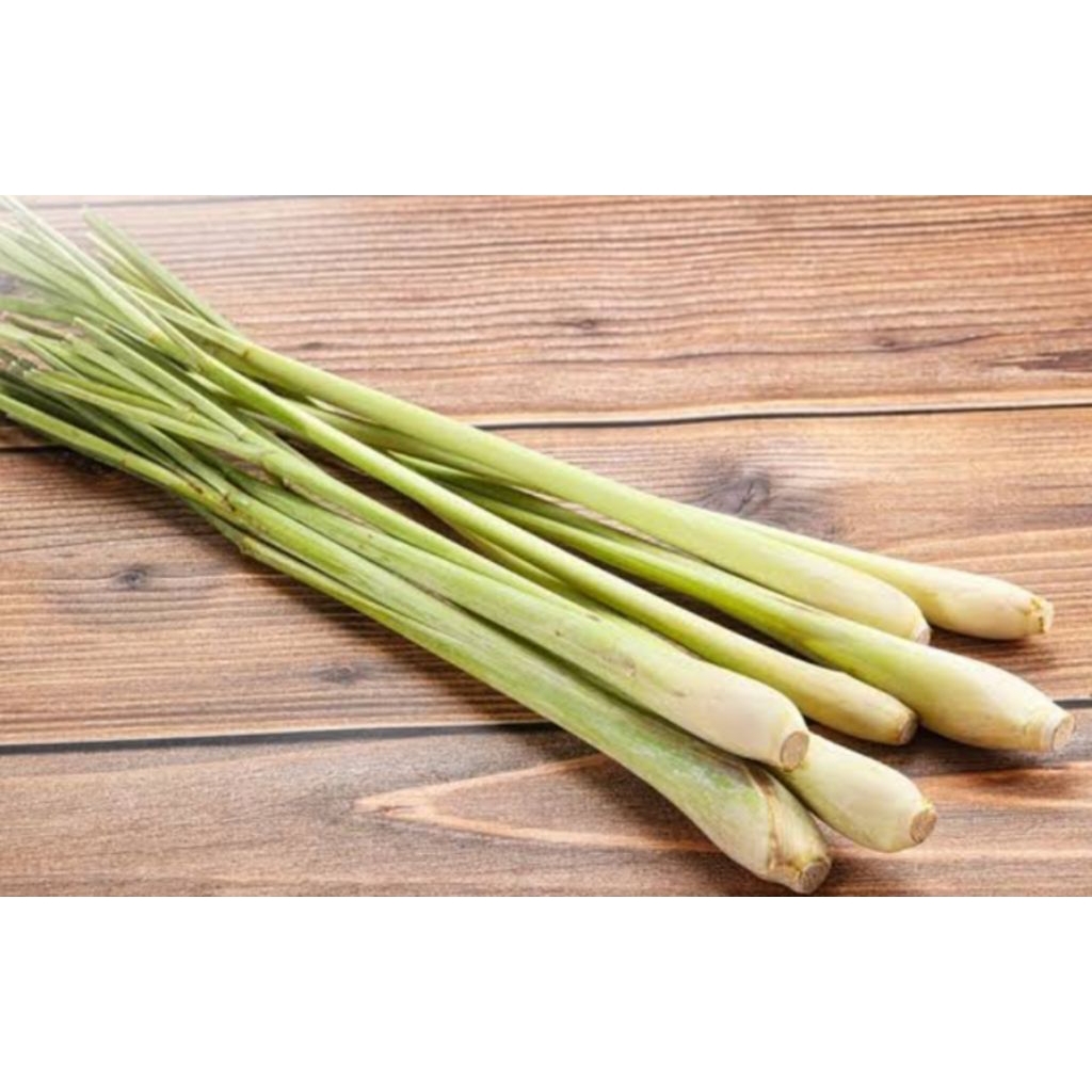 

sereh/serai lokal/sereh segar