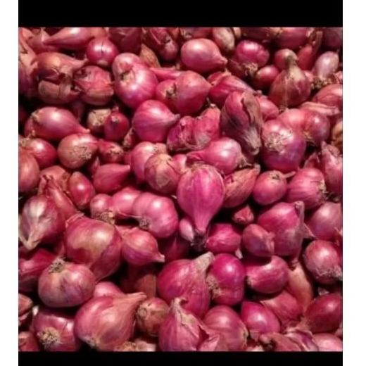 

bawang_merah_1kg