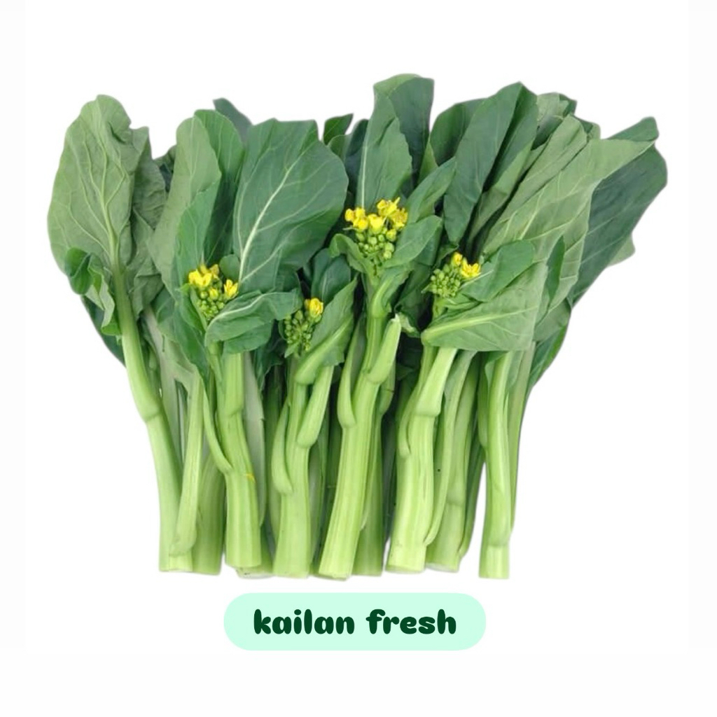 

Kailan Fresh 250gr/500gr/1kg