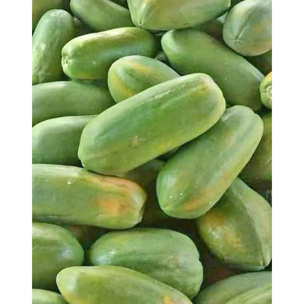 

buah pepaya california