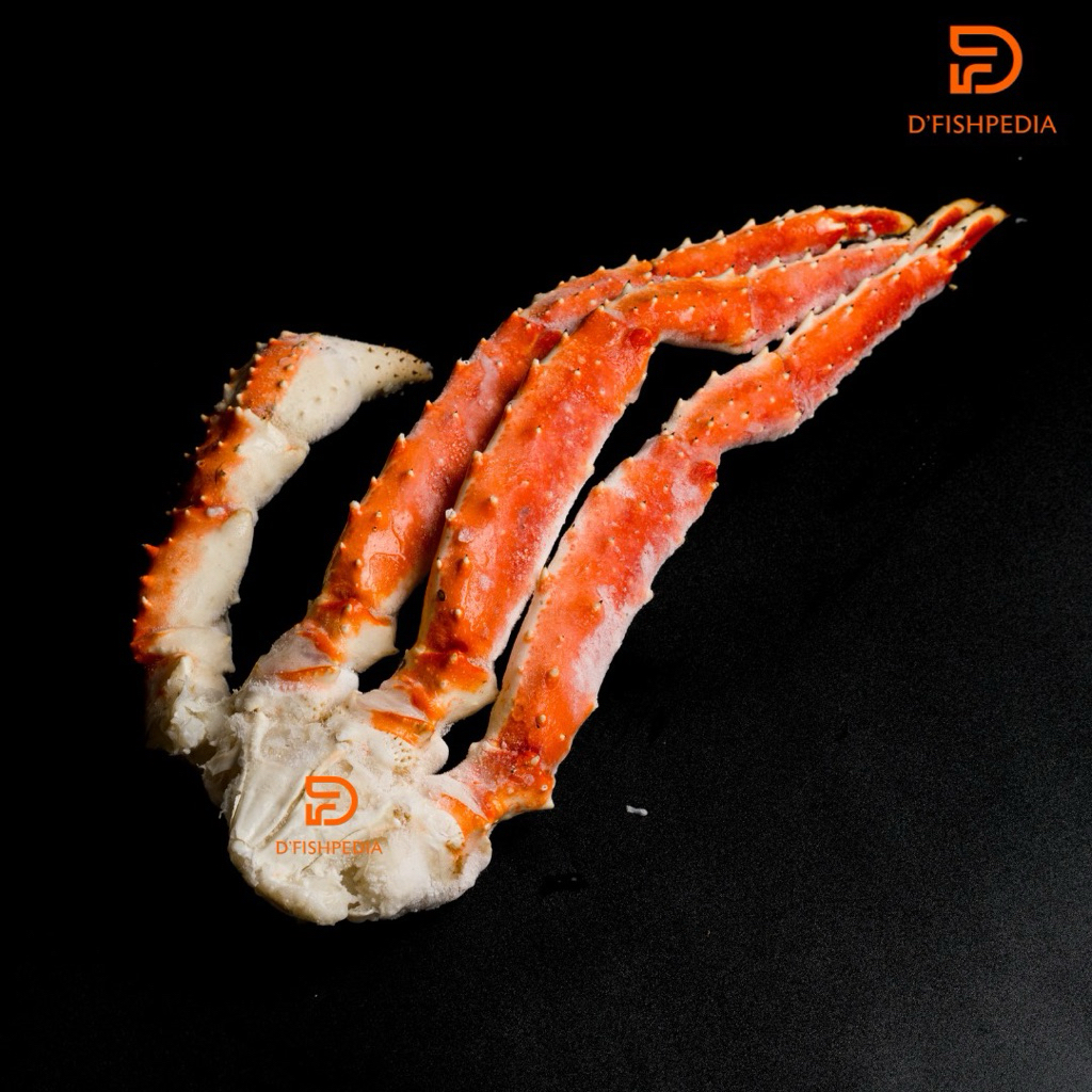 

KING CRAB (BOILED) / KEPITING ALASKA FROZEN
