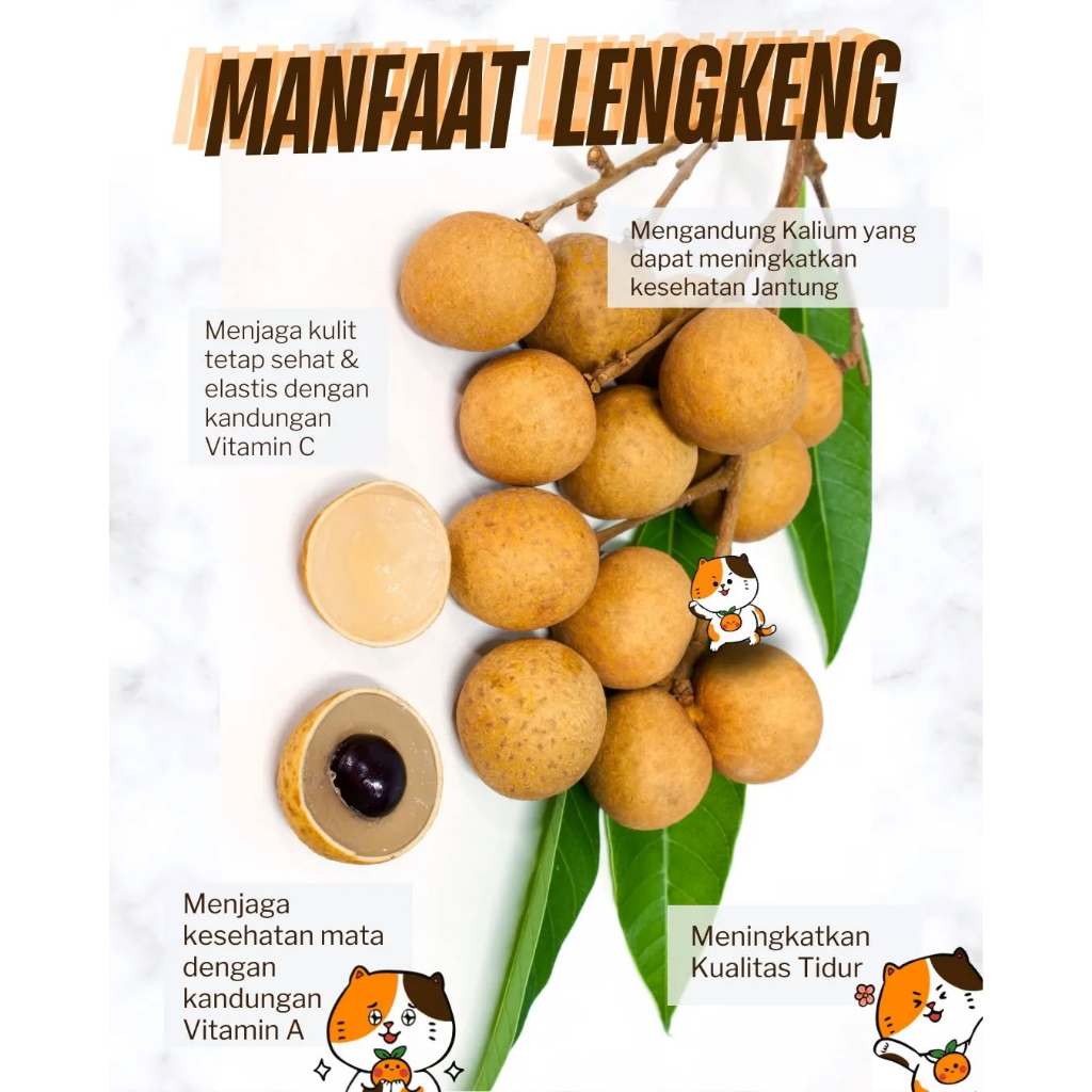 

KELENKENG LENGKENG THAILAND - FRESHCO (PREMIUM)