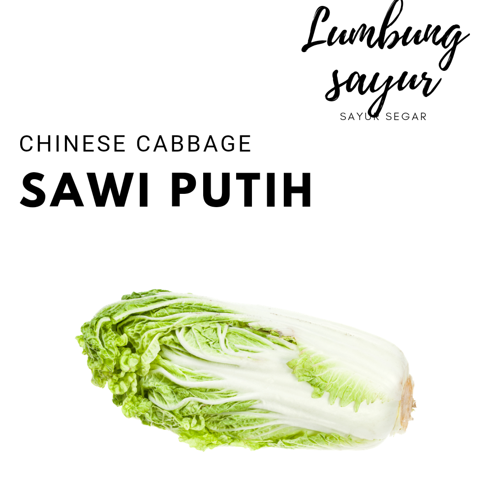 

[Sayur Lumbung] Sayur Sawi Segar (Harga 1 buah)