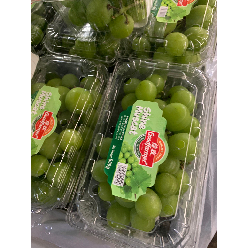 

Anggur Muscat /Pack 500 g