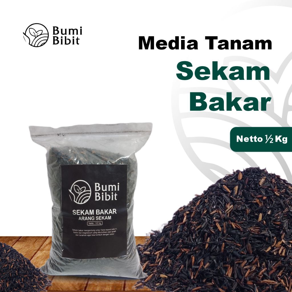 Sekam Bakar Arang Sekam