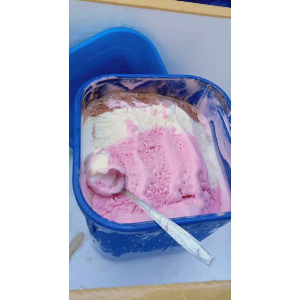 

es krim miami neopolitan 3 rasa
