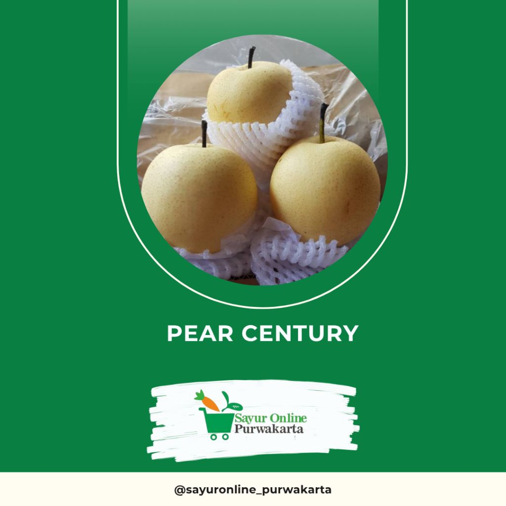 

Pear Century - Sayur Online Purwakarta
