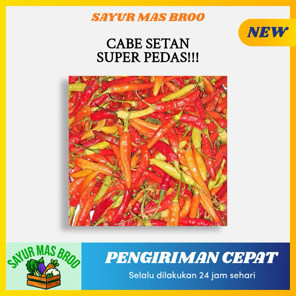 

Cabai Setan Super Pedas - Toko Sayuran Mas Broo Palembang