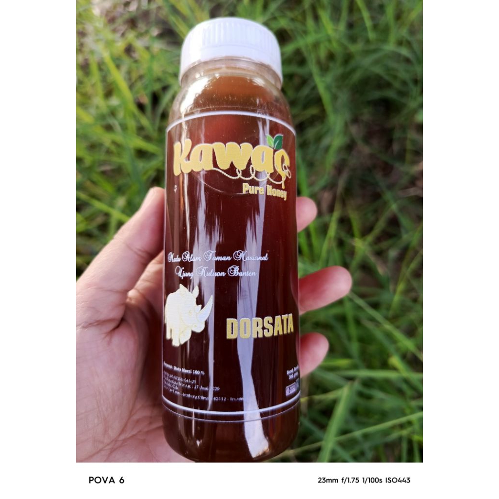 

Madu Hutan Kawao Dorsata