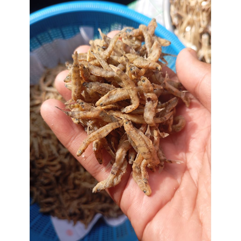 

Ikan asin Penja palu 250gr/500gr