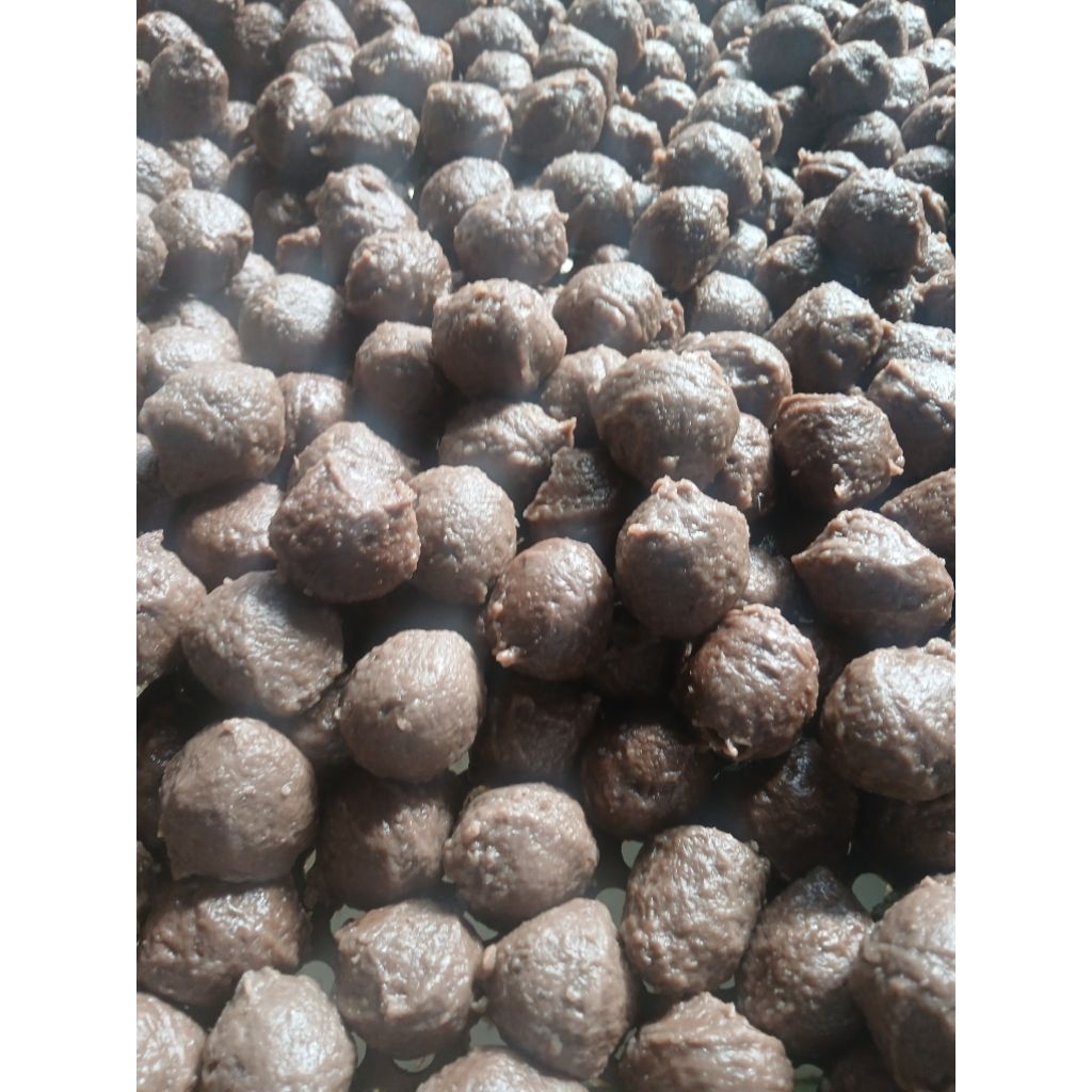 

Baso ikan ukuran sedang (10 pcs)