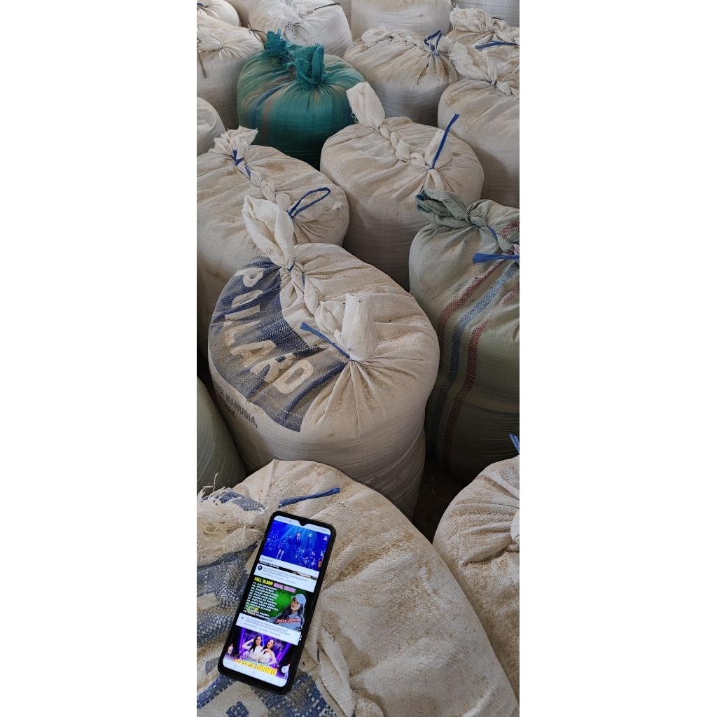 Dedak Katul Pakan Sapi