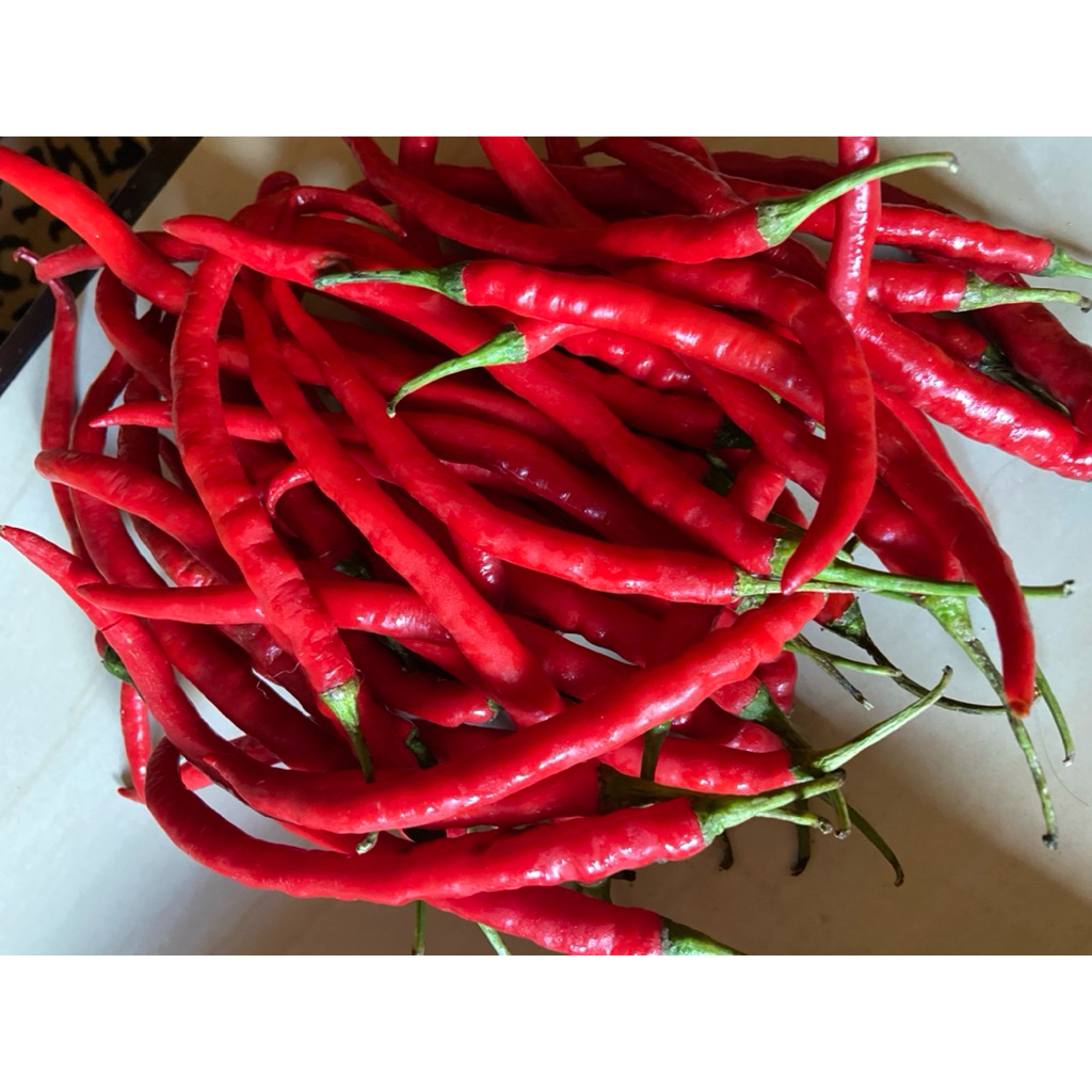 

cabe keriting imperial berat 500gram