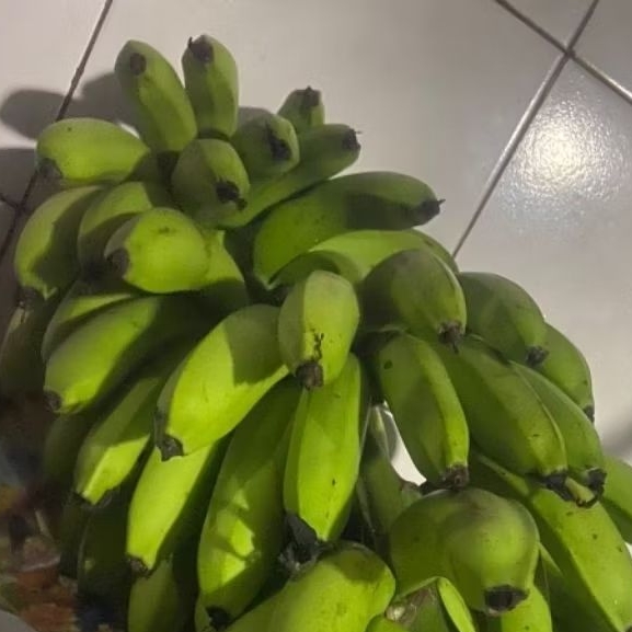

Buah Pisang Mentah ES W CH Pisang Bangkaulu