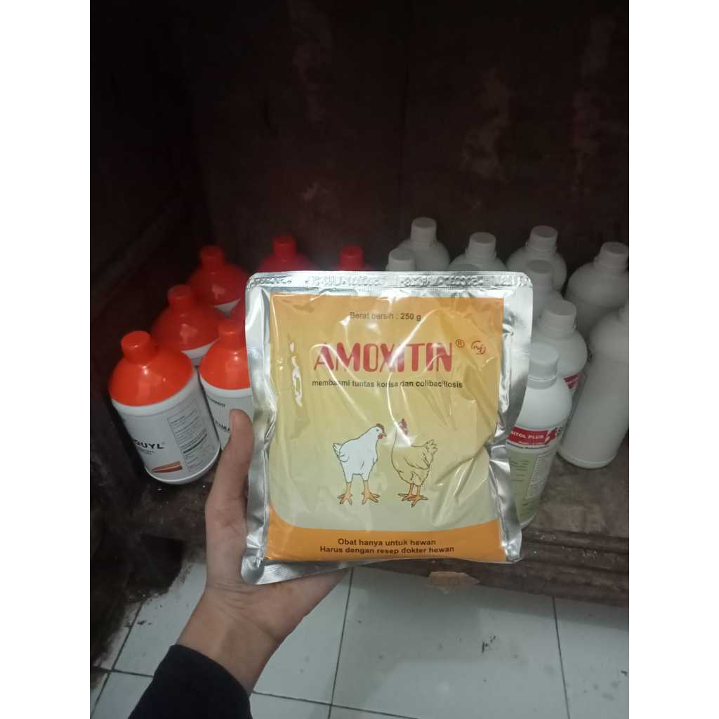 AMOXITIN 250 Gram Medion Antibiotic Treatment