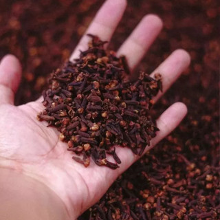 

Cengkeh Kering Asli – Wangi Kuat, Kualitas Premium Asli Cianjur