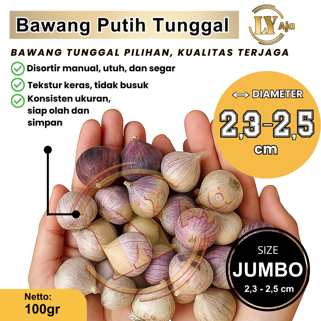 

Bawang Putih Tunggal 100g Premium Super Jumbo Besar Sedang Kecil LY Aja - Lanang