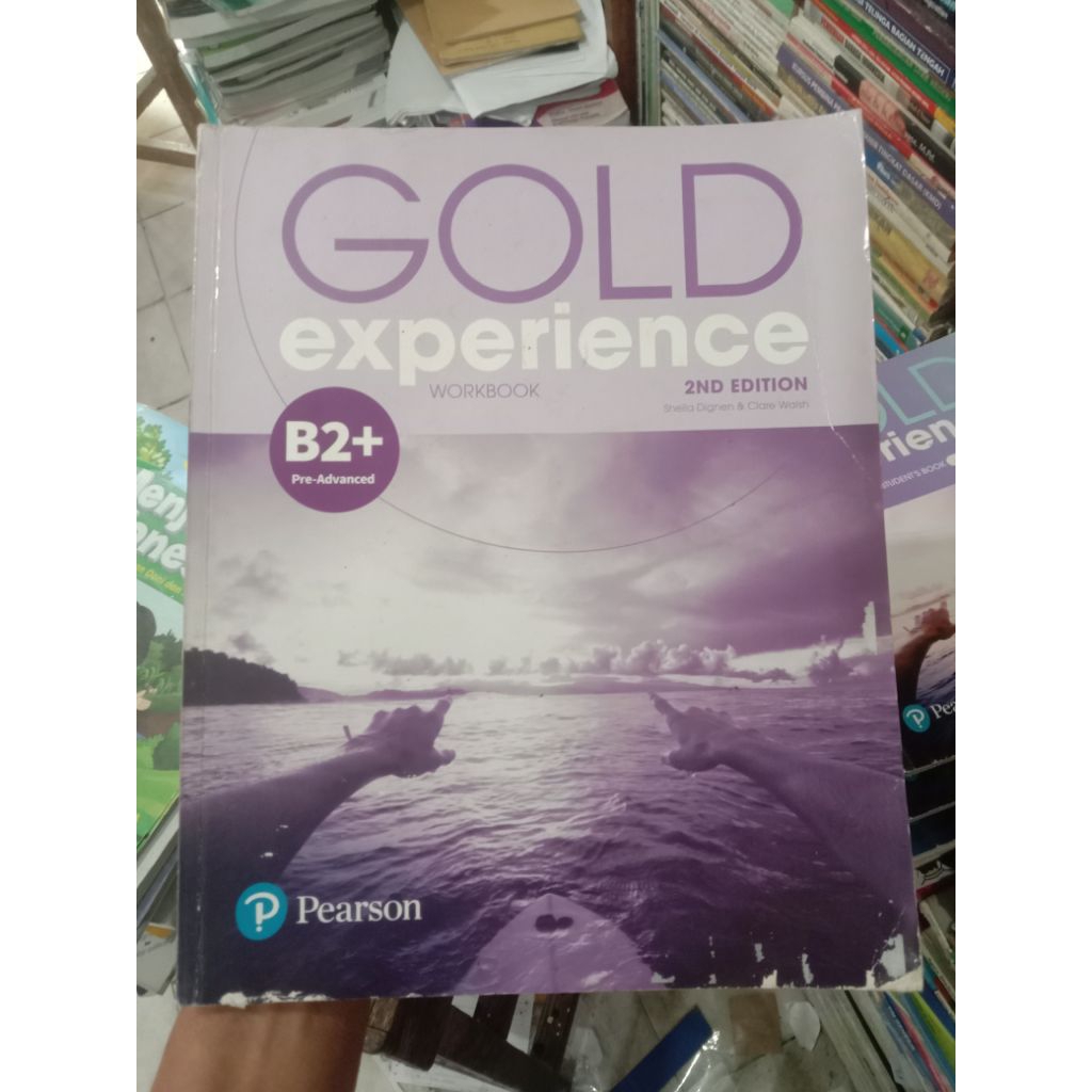 Gold experience.Workbook.B2+.