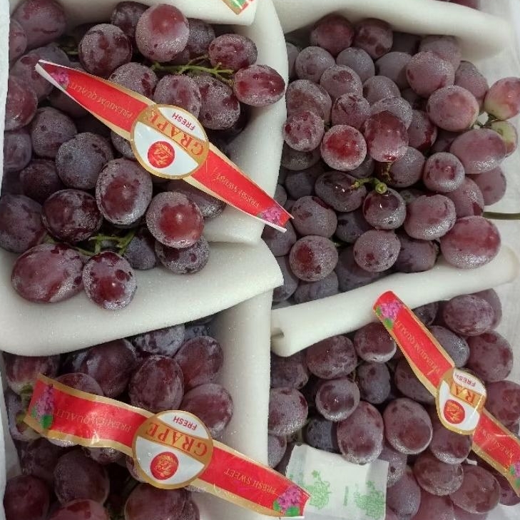 

Anggur Red Globe 1kg