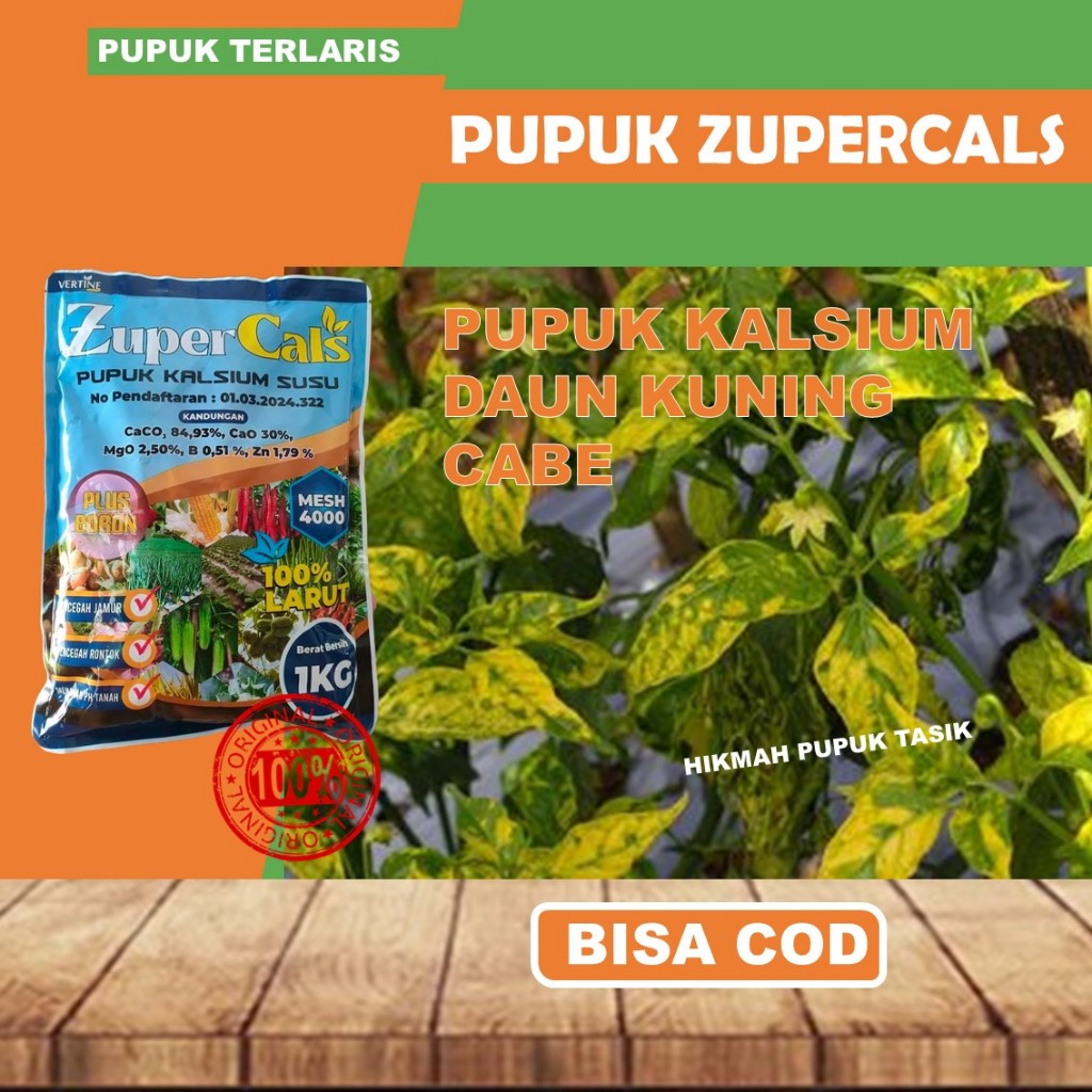 Pupuk Kalsium Zupercals Cair untuk Cabe | Daun Kuning, Rontok & Keriting Hilang | Tingkatkan Daya Ta