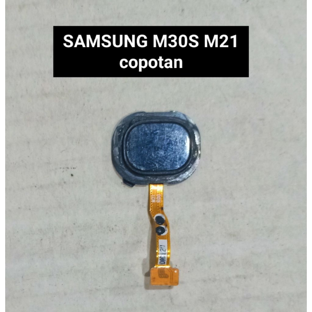 FINGERPRINT SAMSUNG M30S M21 copotan