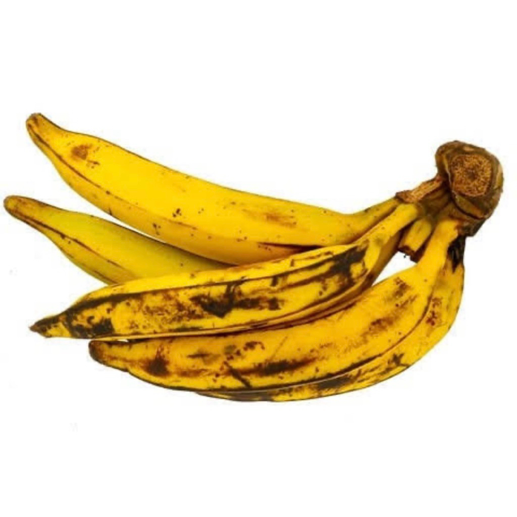 

PISANG TANDUK / PISANG BYAR ORGANIK