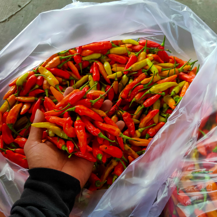 

Cabe rawit merah/cabai rawit merah 500gram