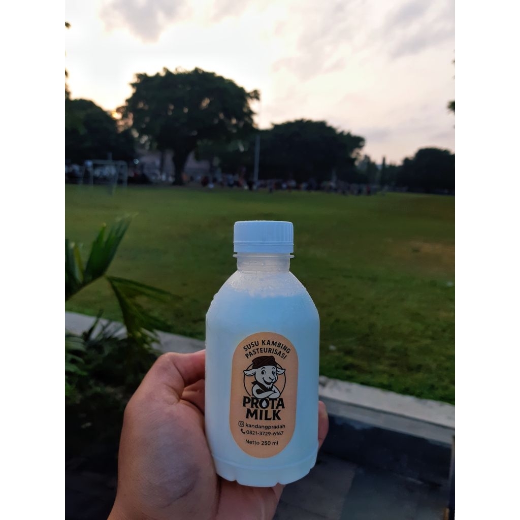 

Prota Milk Susu Kambing Pasteurisasi