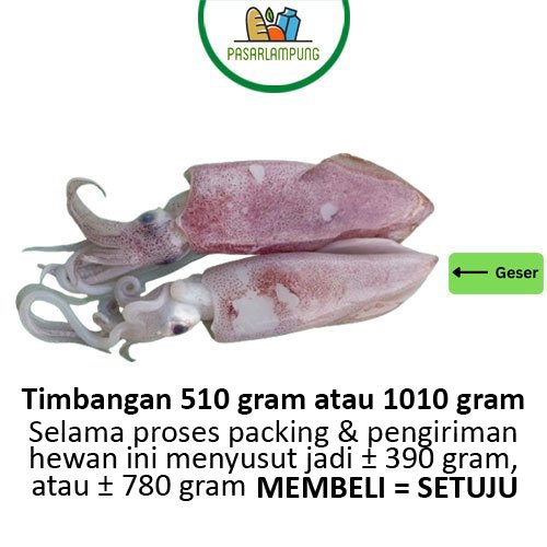

Cumi Cumi Segar Pasar Lampung