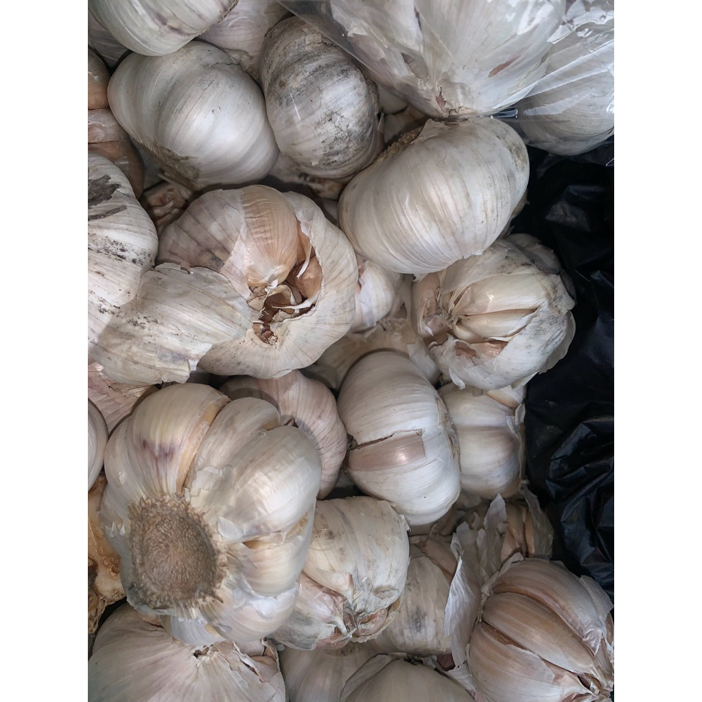 

BAWANG PUTIH 1KG || BUMBU MASAKAN || BUMBU DAPUR